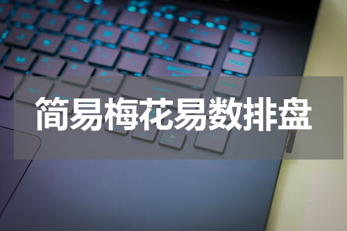 简易梅花易数排盘