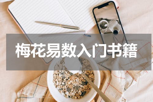 梅花易数入门书籍