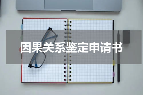 因果关系鉴定申请书