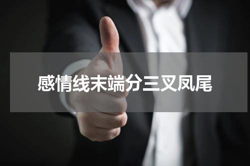 感情线末端分三叉凤尾