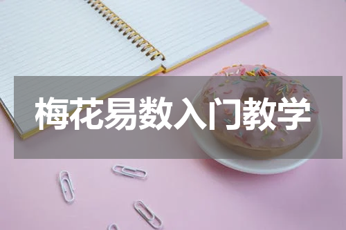 梅花易数入门教学