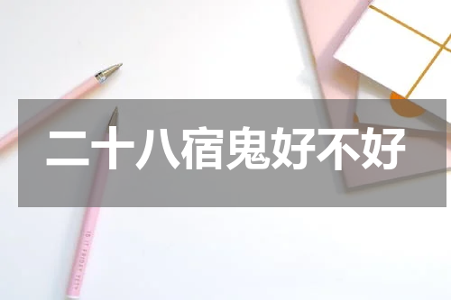 二十八宿鬼好不好