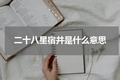 二十八星宿井是什么意思