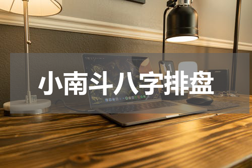 小南斗八字排盘
