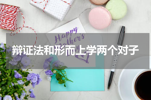 辩证法和形而上学两个对子