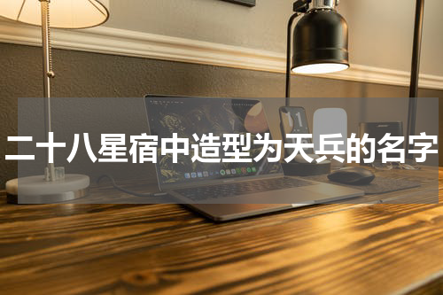 二十八星宿中造型为天兵的名字