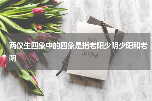 两仪生四象中的四象是指老阳少阴少阳和老阴