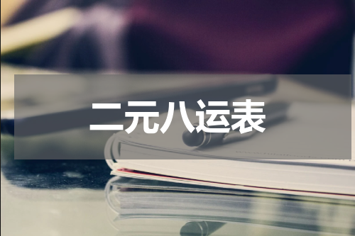二元八运表