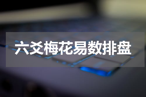 六爻梅花易数排盘
