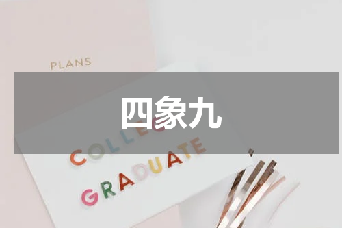 四象九