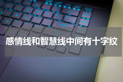 感情线和智慧线中间有十字纹