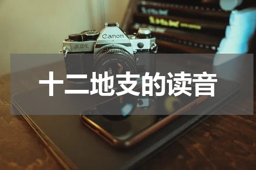 十二地支的读音