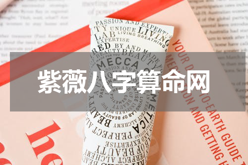 紫薇八字算命网