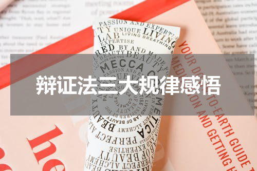 辩证法三大规律感悟
