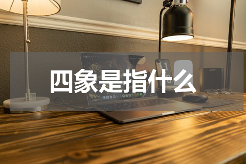 四象是指什么