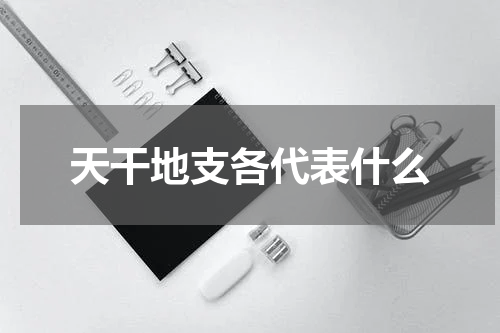 天干地支各代表什么