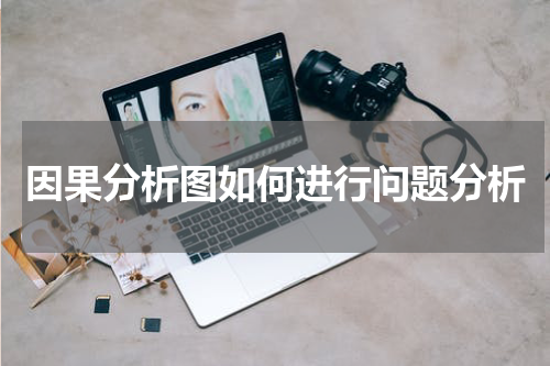 因果分析图如何进行问题分析