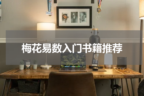 梅花易数入门书籍推荐