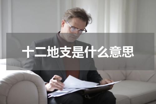 十二地支是什么意思