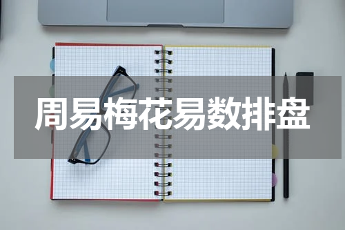 周易梅花易数排盘