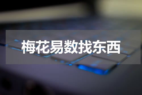 梅花易数找东西