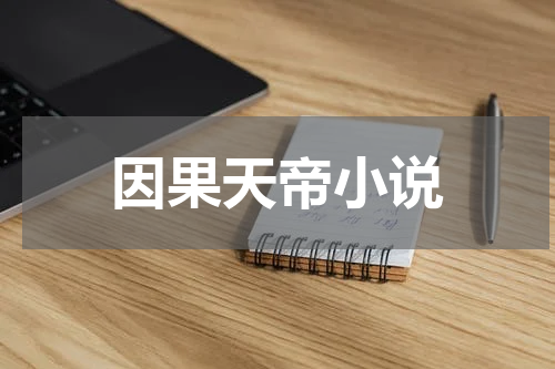 因果天帝小说