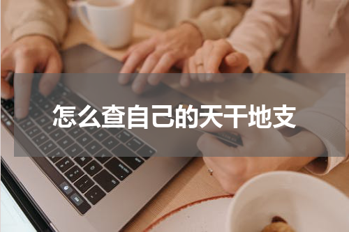 怎么查自己的天干地支