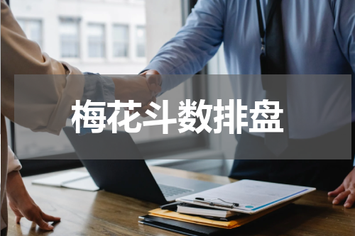 梅花斗数排盘