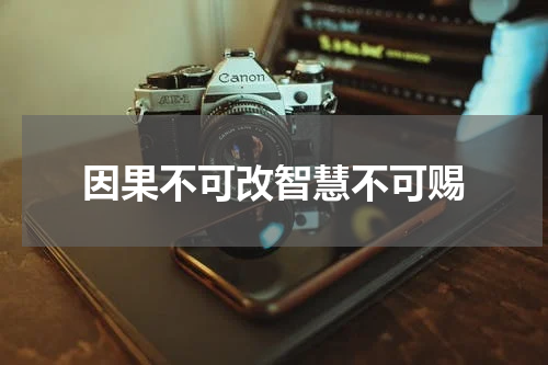 因果不可改智慧不可赐