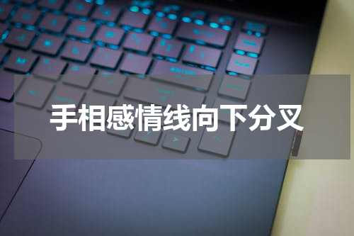 手相感情线向下分叉