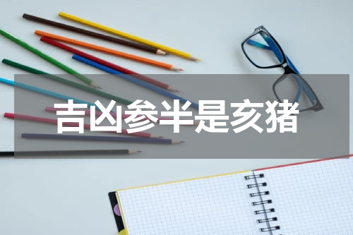 吉凶参半是亥猪