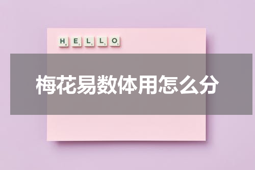 梅花易数体用怎么分