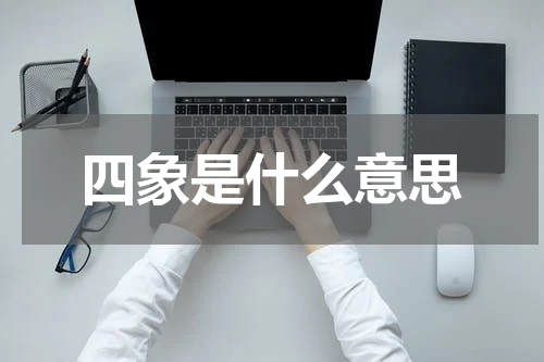 四象是什么意思
