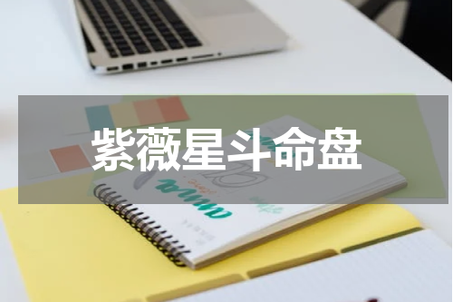 紫薇星斗命盘