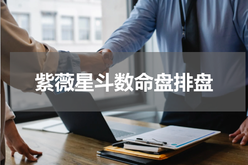 紫薇星斗数命盘排盘