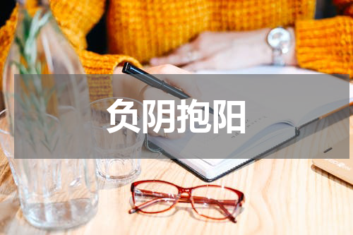 负阴抱阳