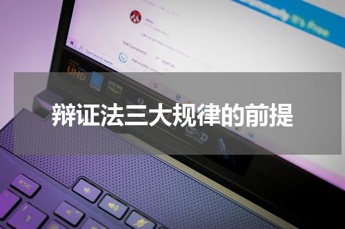 辩证法三大规律的前提
