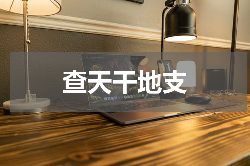 查天干地支