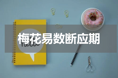 梅花易数断应期
