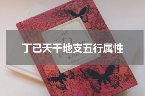 丁已天干地支五行属性