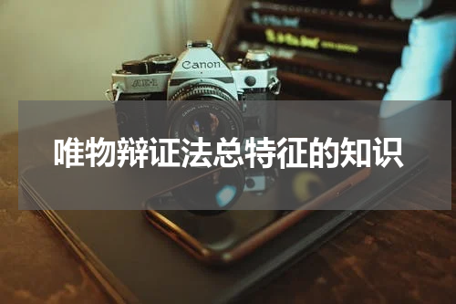 唯物辩证法总特征的知识