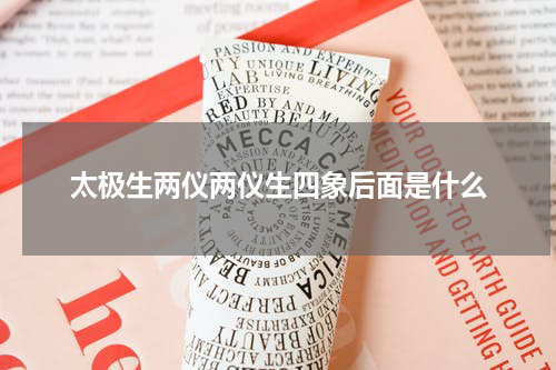太极生两仪两仪生四象后面是什么