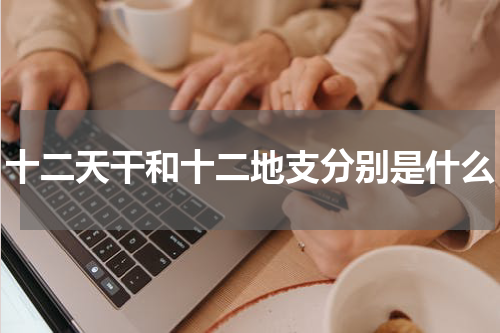 十二天干和十二地支分别是什么