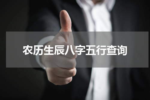 农历生辰八字五行查询