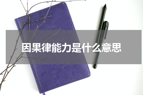 因果律能力是什么意思