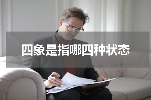 四象是指哪四种状态