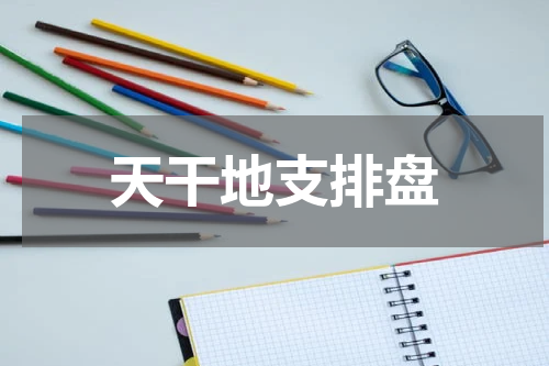 天干地支排盘