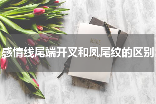 感情线尾端开叉和凤尾纹的区别
