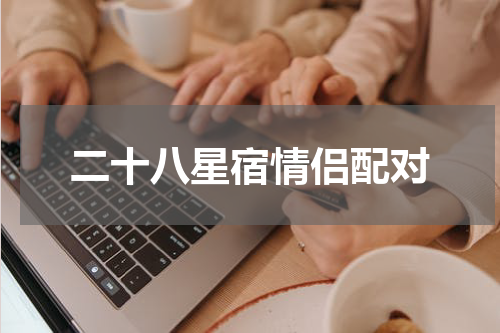 二十八星宿情侣配对