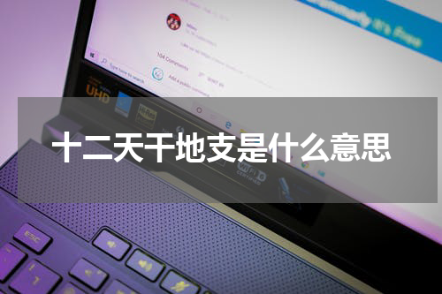 十二天干地支是什么意思